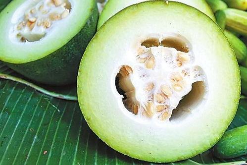 南京古茗事件吃瓜,一场奶茶店的“甜蜜”风波揭秘