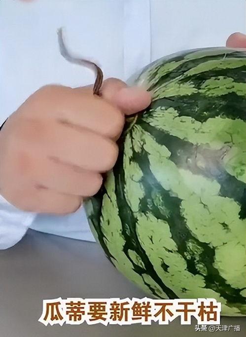 能到吃瓜很甜,揭秘“能到吃瓜很甜”的秘密