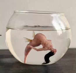 如果人类成为食物在线观看,在线观看揭秘