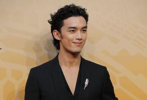 势力虚伪的明星,揭秘势力明星的真实面目