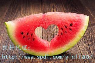 费羊羊吃瓜,费羊羊的瓜田奇遇记