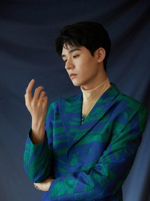 帅明星龚俊,帅气明星的璀璨星途