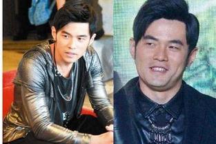 明星落叶照,明星落叶映照下的深情时光