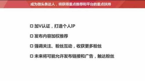 头条有多少粉丝怎么查看,如何根据头条粉丝数制定个性化文章副标题策略