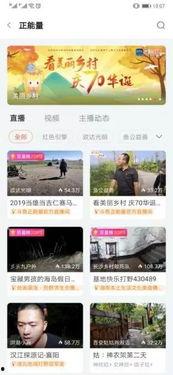 网红村统计,数字时代下的乡村新面貌