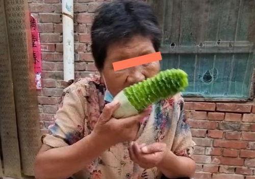 儿子吃瓜视频大全,欢乐瞬间，趣味无限