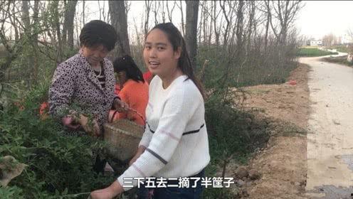 乡野小妮生了吗头条,独家幕后故事