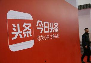 厦门洋姐今日头条,揭秘今日头条上的热门话题与生活点滴